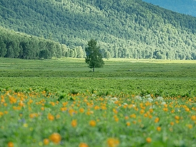 其他风景
