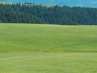 其他风景