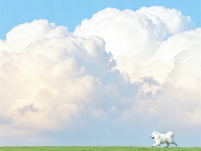 其他风景