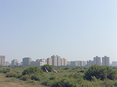 现代城市背景
