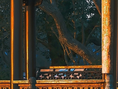 其他风景