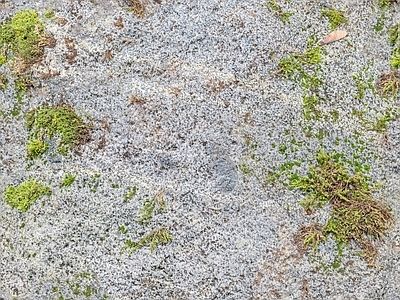 花岗岩