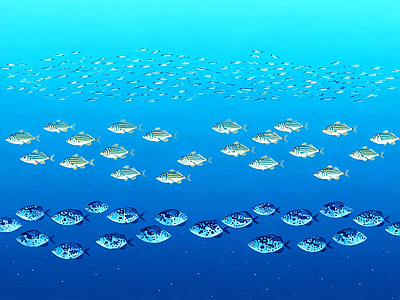 其他水面