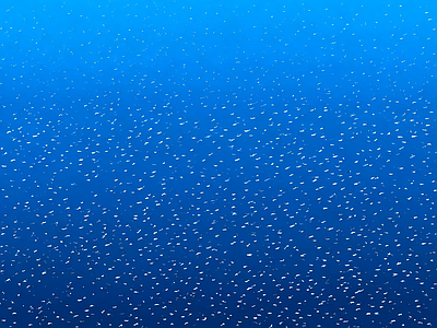 其他水面