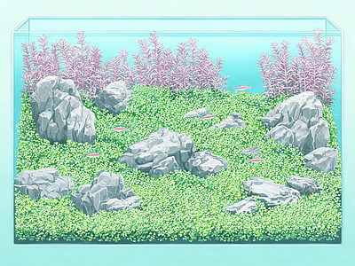 其他风景