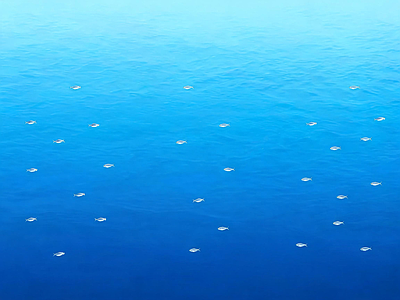 其他水面