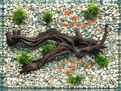 鱼缸