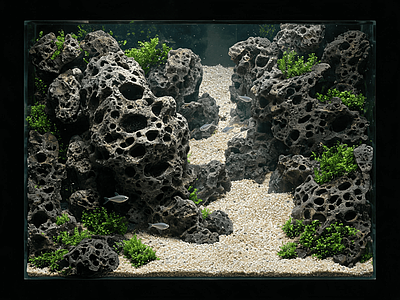 其他风景