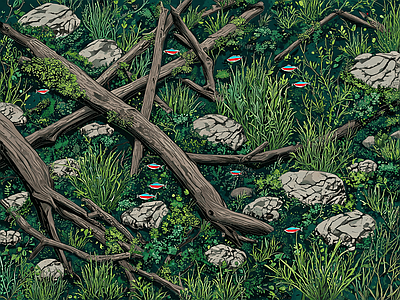其他风景