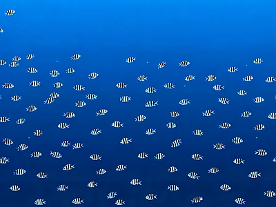 其他水面