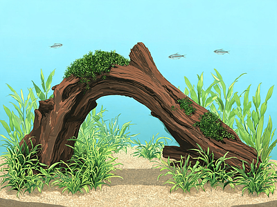 其他风景
