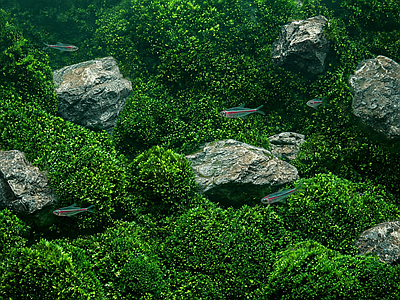 其他风景