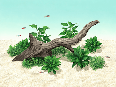 其他风景