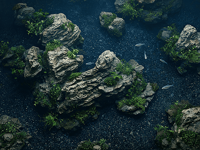 其他风景