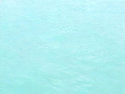 其他水面