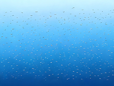 天空