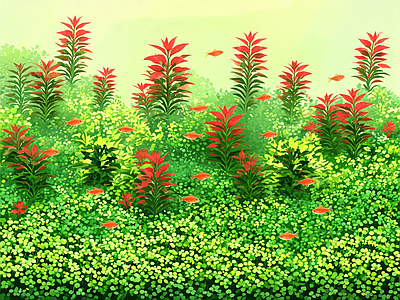 其他风景