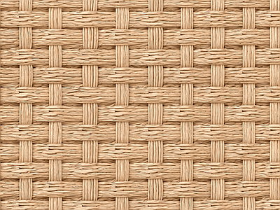 藤编