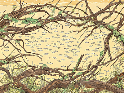 其他风景