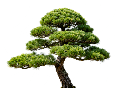 现代其它HDR