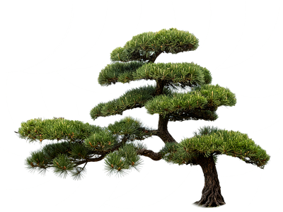 现代其它HDR