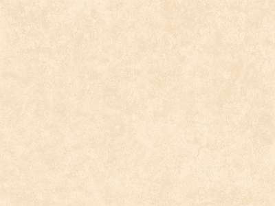 纹理涂料