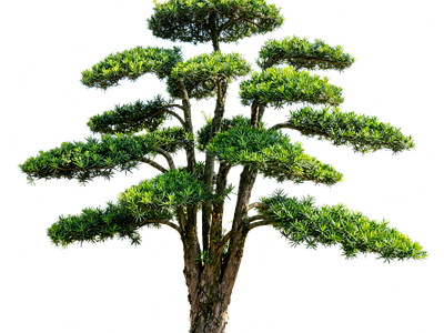 现代其它HDR