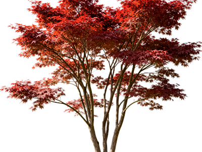 现代其它HDR