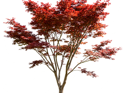 现代其它HDR