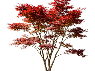 现代其它HDR