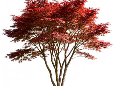 现代其它HDR
