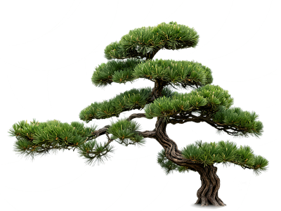 现代其它HDR
