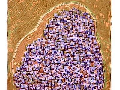 其他挂画