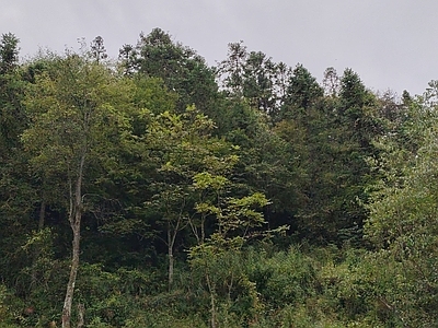 户外HDR