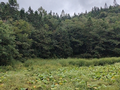 户外HDR