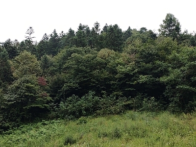 户外HDR