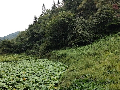 户外HDR