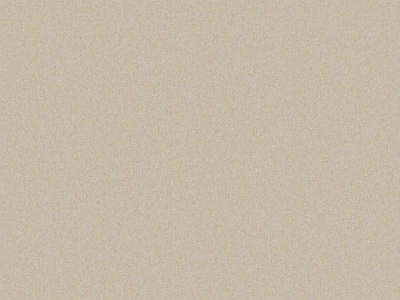 纹理涂料