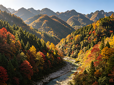 户外HDR 山地丛林