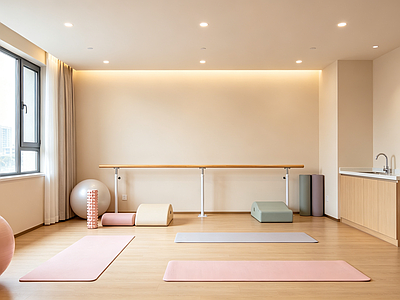室内HDR 月子中心 瑜伽店 康复训练室