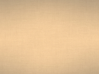 素色布纹