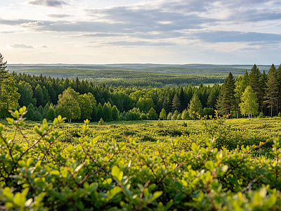 户外HDR
