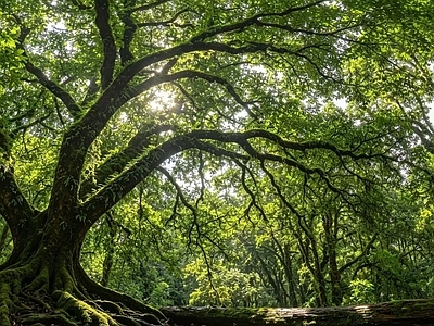 户外HDR