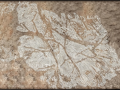 其他挂画