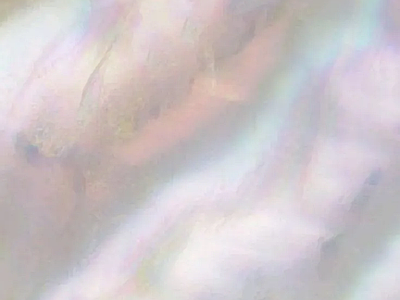 法式其他壁纸