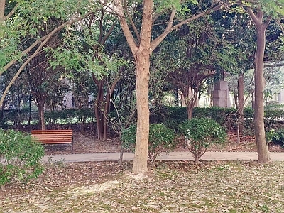 户外HDR
