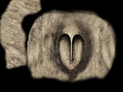 其他挂画