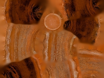 其他挂画