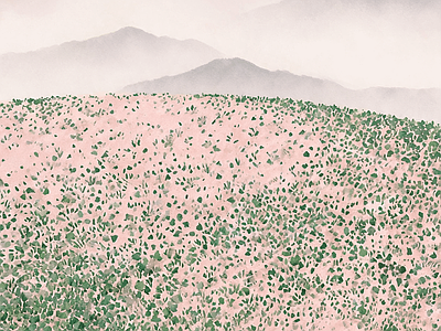其他风景
