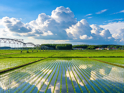 户外HDR